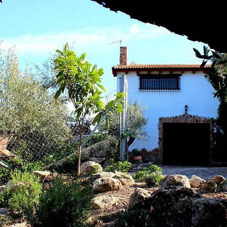 Alojamiento Rural El Agueelo Уэльма Экстерьер фото