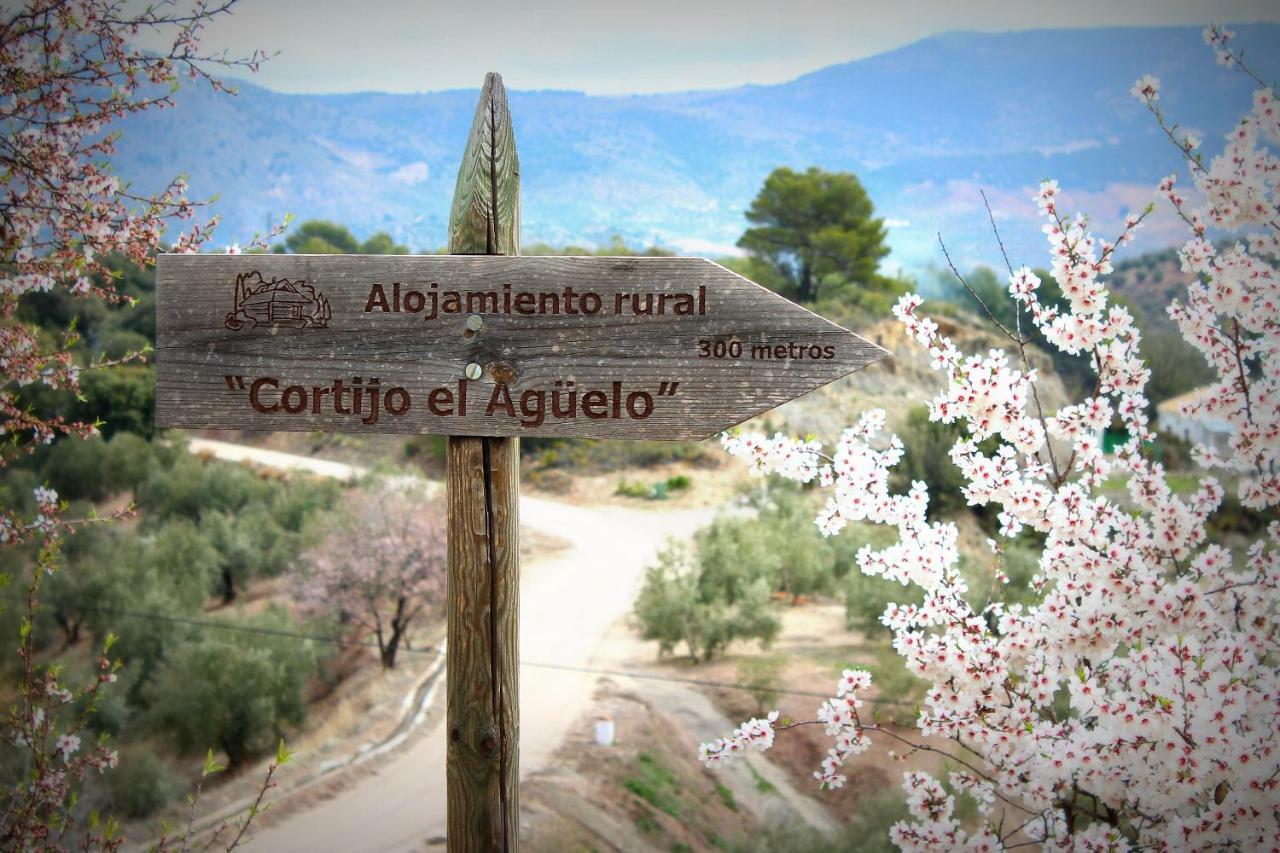 Alojamiento Rural El Agueelo Уэльма Экстерьер фото